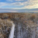 Baumkronenpfad Winter